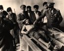 che corpse fred...