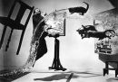 dali atomicus P...