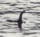 loch ness surge...